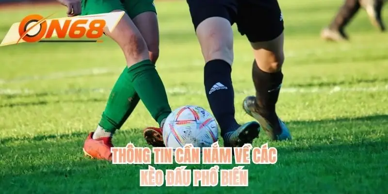 Thông tin cần nắm về các kèo đấu phổ biến