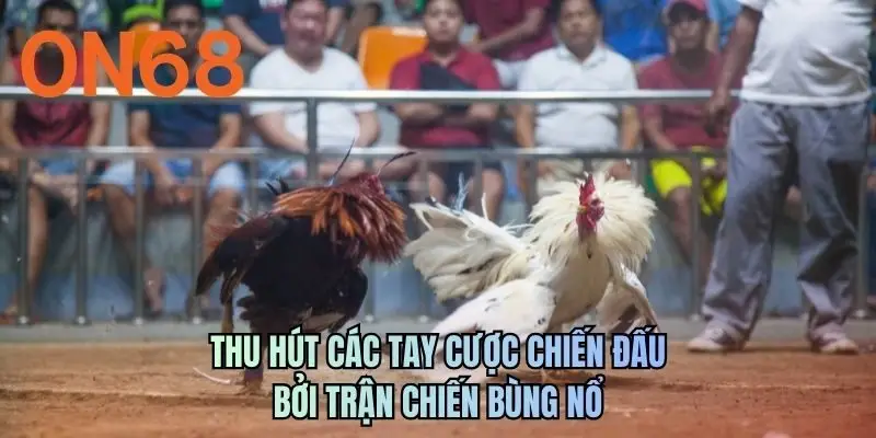 Thu hút các tay cược chiến đấu bởi trận chiến bùng nổ